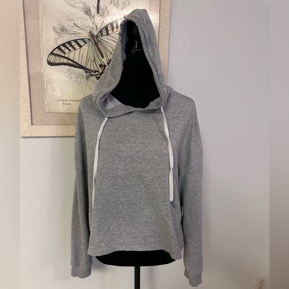 Wild Fable Heather Gray Silver Shimmer Women's Hoodie NWOT - Picture 1 of 6